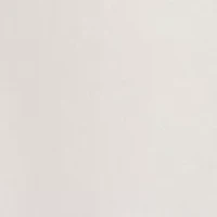 Petite Raw Hem Straight Jeans