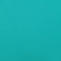 Shirred Band Hipster Panty