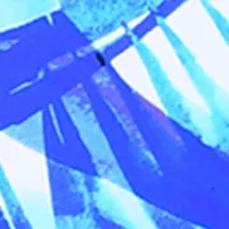 Plus Pacific Palms Tankini Swim Top