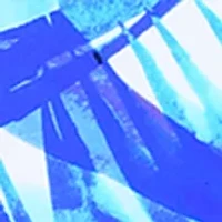 Plus Pacific Palms Tankini Swim Top