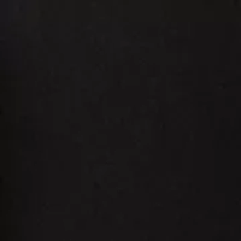 Women's Button Up Vest