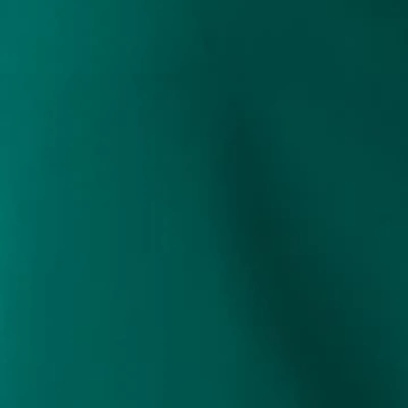 Women's Silk Portofino Long Sleeve Shirt