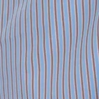 Plus Striped Tied Long Sleeve Shirtdress