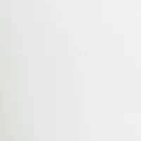 Petite Seamed Ankle Pants