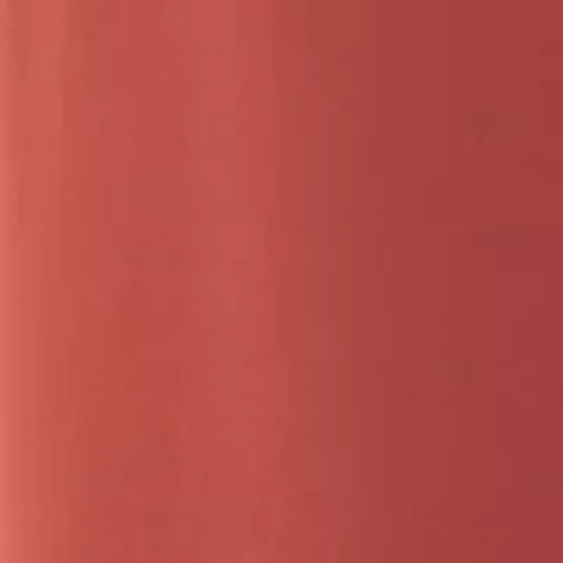 Petite Shine Cargo Pants