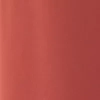 Petite Shine Cargo Pants