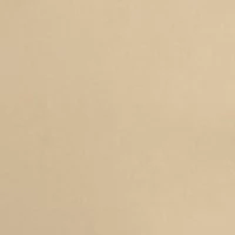 Petite Rivet Detail Pull-On Capri Pants