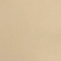 Petite Rivet Detail Pull-On Capri Pants