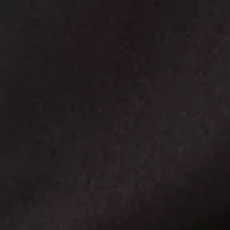 Petite Embellished Mock Neck Long Sleeve Top