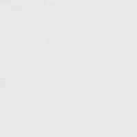 Petite Ribbed V-Neck Sleeveless Polo Shirt