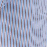 Petite Striped Tied Long Sleeve Shirtdress