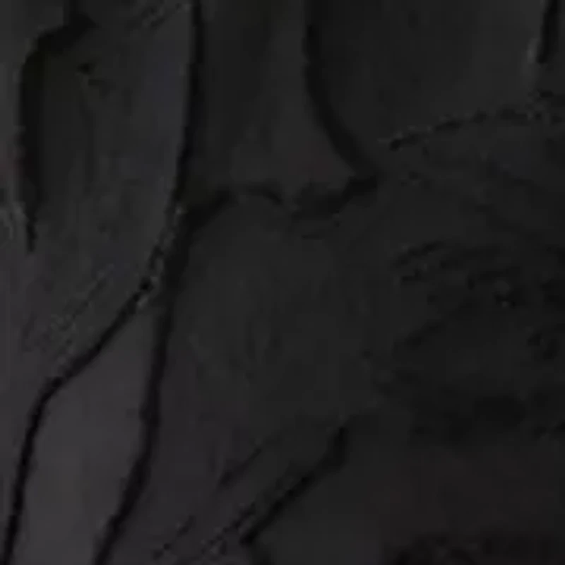 Petite Clip Organza Long Sleeve Blouse