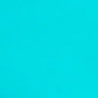 Sandy Creek™ Stretch Skort