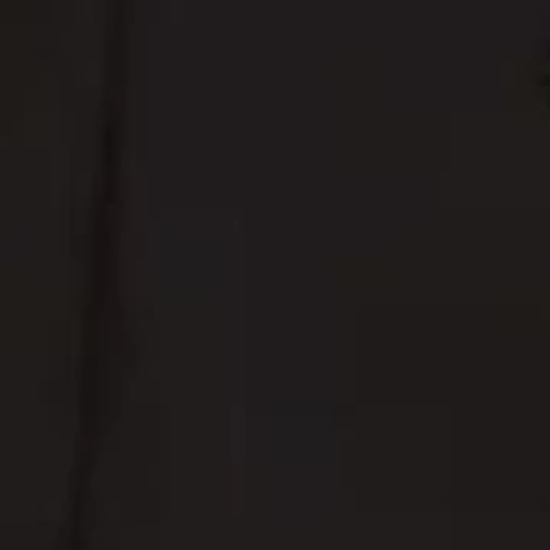 V-Neck Button Down Sleeveless Dress