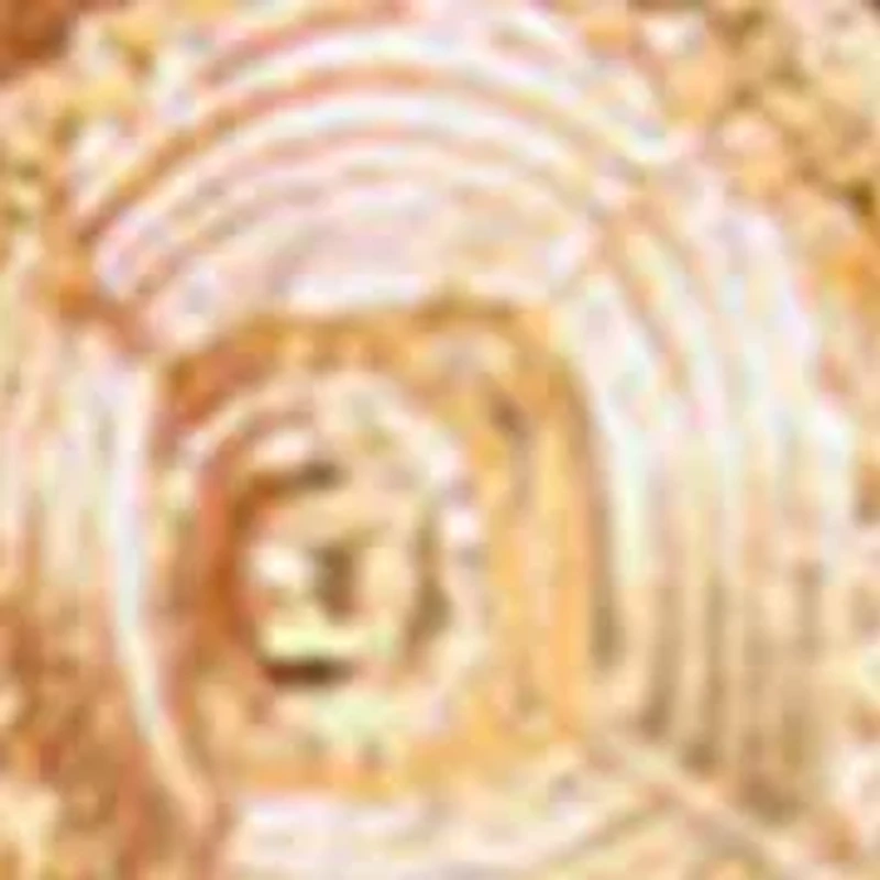 Sunset Shadows Earrings