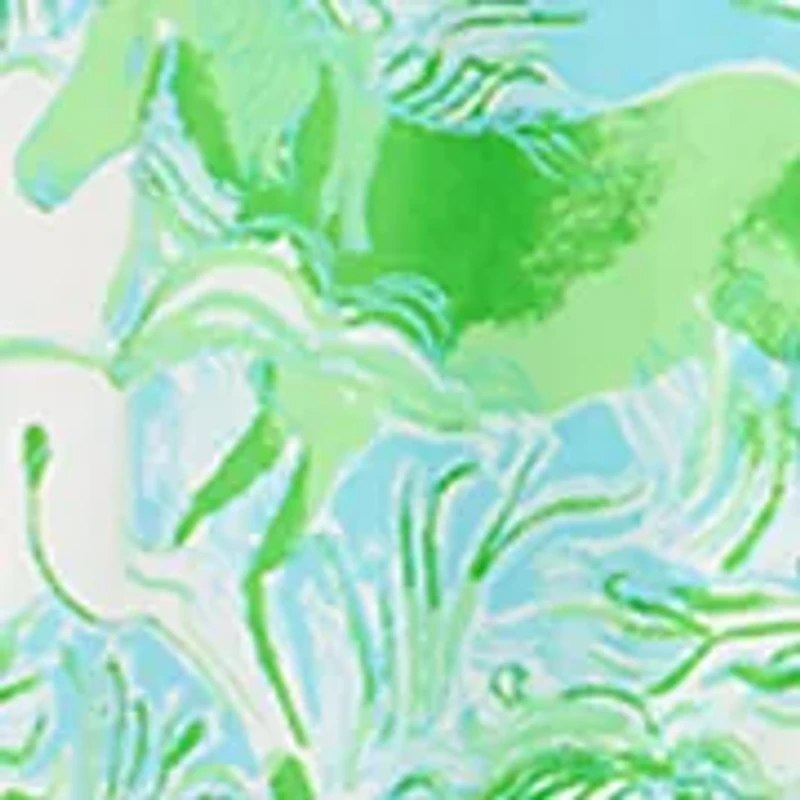 Sonaire Midi Shirtdress