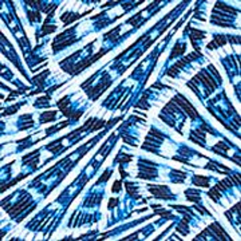 Women's Island Cays Shell Cove Bandini