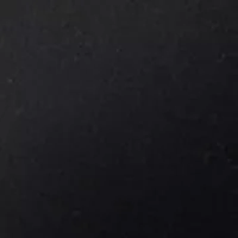 Women's Palm Voyage Tie Jacket