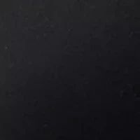 Women's Palm Voyage Tie Jacket