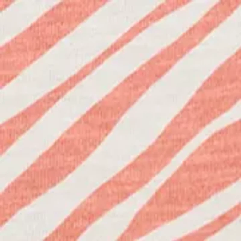 Women's Ashby Isles Coastal Zebra Shirt