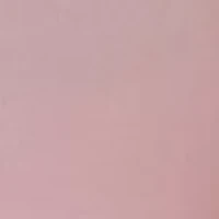 Women's Puff Sleeve Top