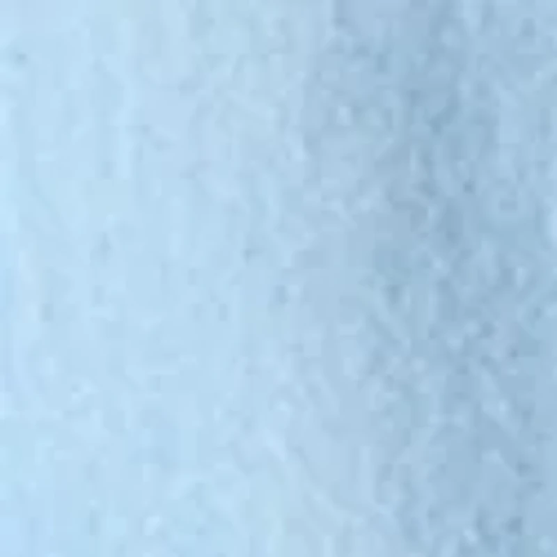 Petite Tencel Button Down Shirt