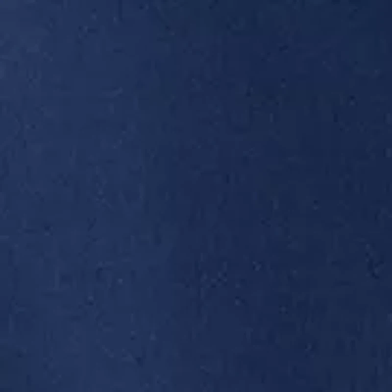 Petite Printed Bomber Jacket