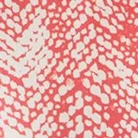 Petite Printed Bomber Jacket