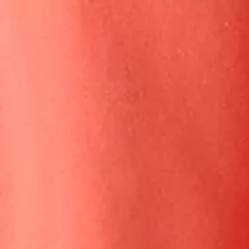 Petite Button Through Dress