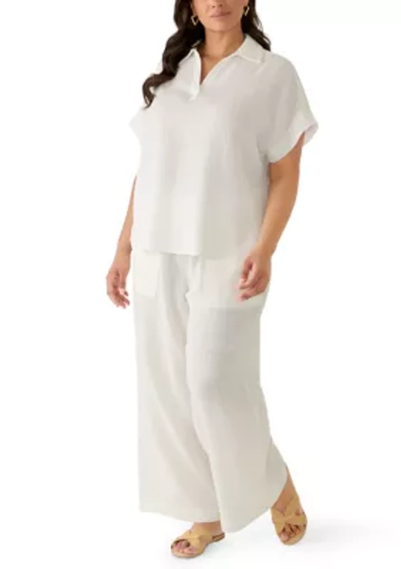 Plus Solid Popover Top