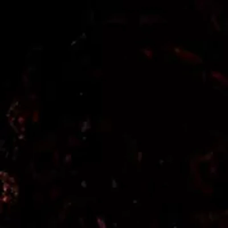 Maye Printed Velvet Tunic