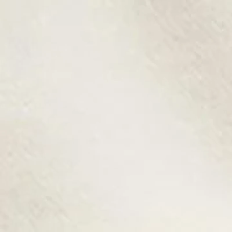 We The Free Graphic Camden Pullover Sweatshirt