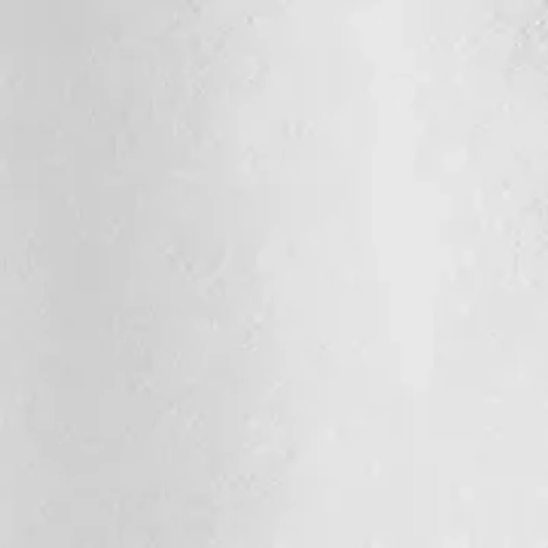 We The Free Nina T-Shirt