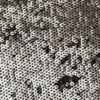 Manuka Sequin Mini Dress