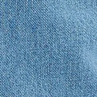 Trevi Denim Mini Dress