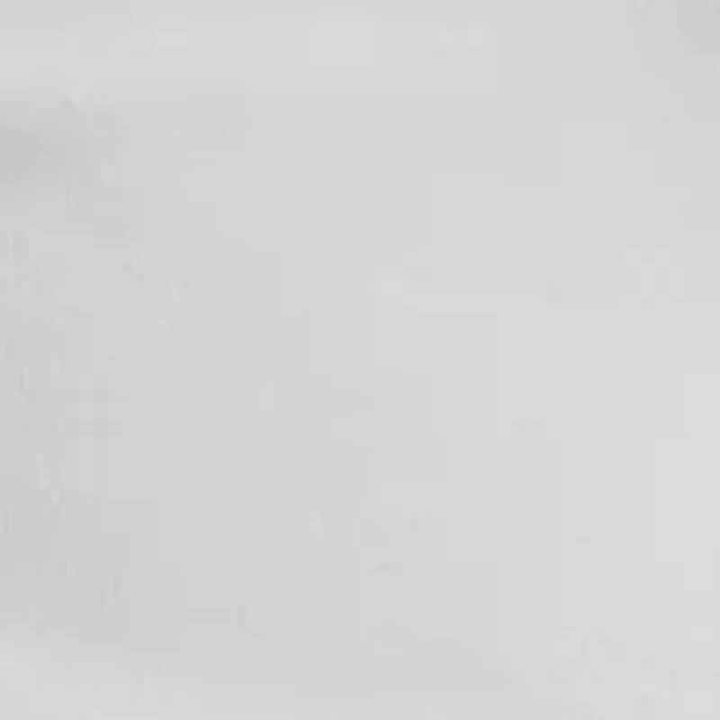 We The Free Tippi Denim Shorts