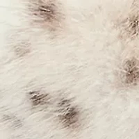 Louder Please Hooded Faux Fur Jacket