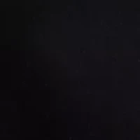 We The Free Kellee High-Rise Palazzo Jeans