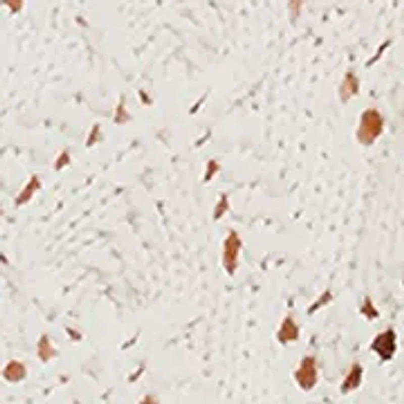 Pretty Pointelle Cardigan