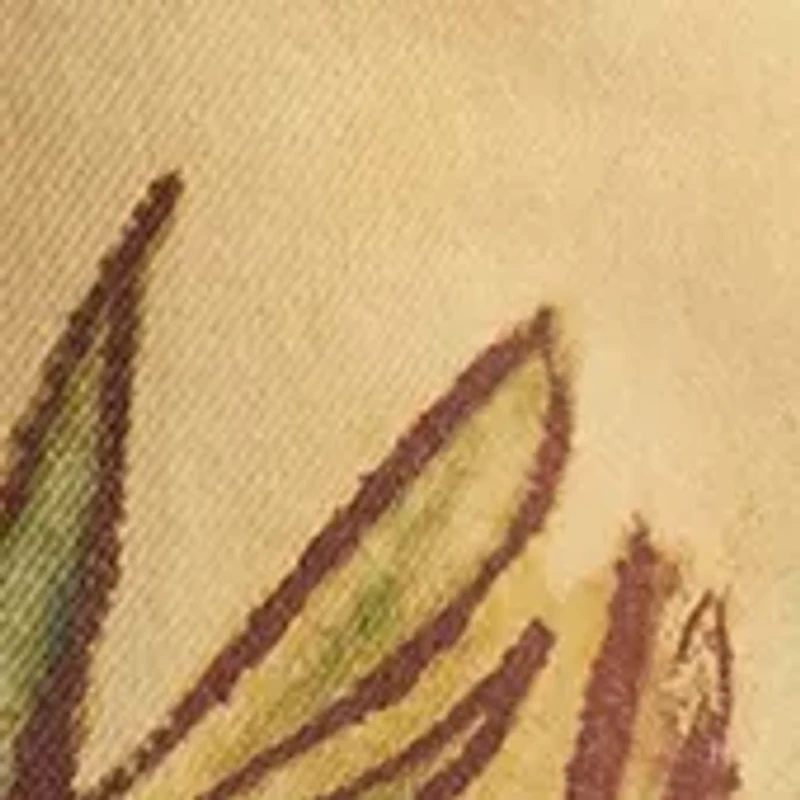 We The Free Illusions Straight Leg Printed Jeans