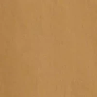 Silverlake Chino