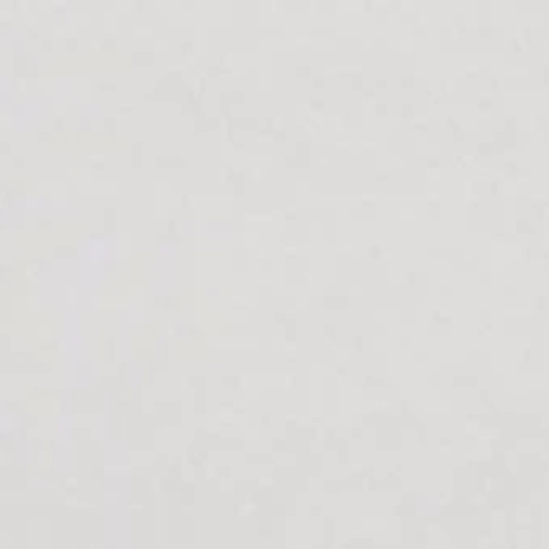 We The Free Iconic Tank