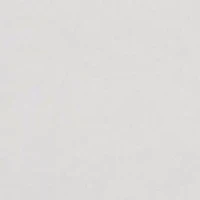 We The Free Iconic Tank