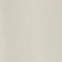 Betty Drop Waist Skirt