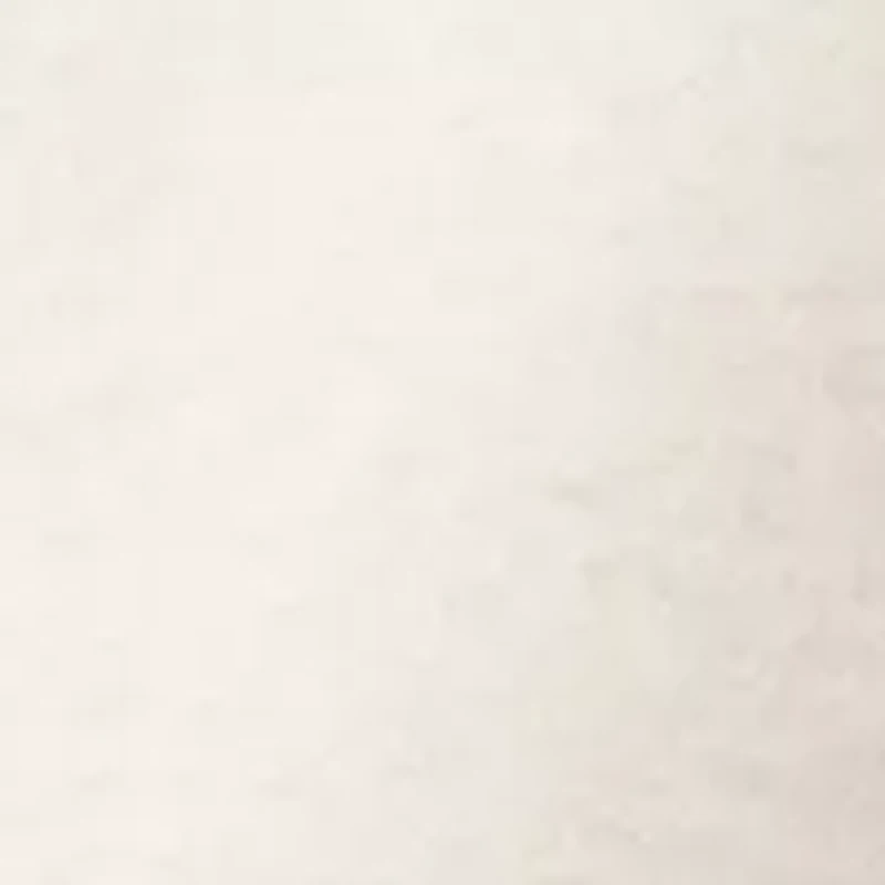 Plus NYC Crew Neck Sweatshirt