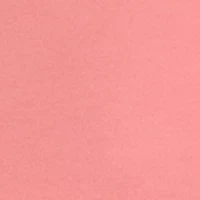 Women's Long Ruffle Sleeve Turtle Neck Top