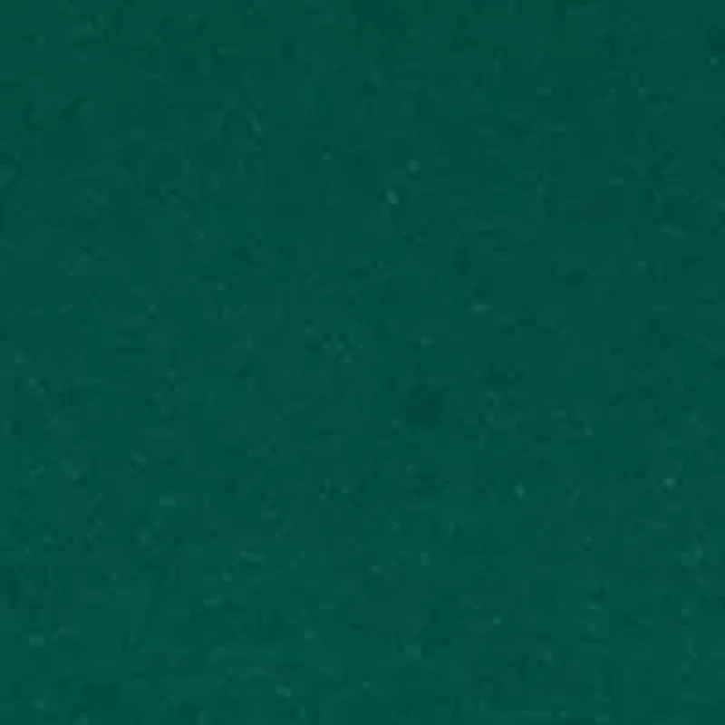 Women's V Chenille Embroidered Sweatshirt