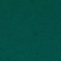 Women's V Chenille Embroidered Sweatshirt