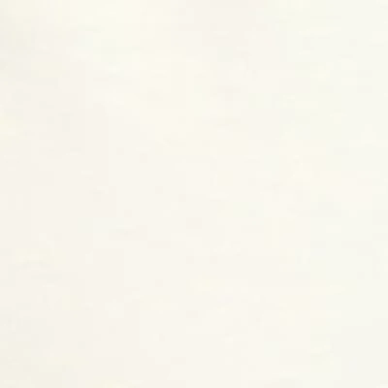 Women's Graphic Texas Rodeo Club T-Shirt