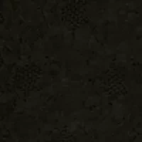 Women's Lace Meet and Greet Top